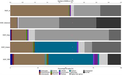 Microbiomes Associated With the Surfaces of Northern Argentinian Fruits Show a Wide Species Diversity